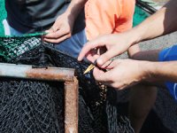 Doğu Akdeniz'de balıkçılar "Vira Bismillah" demeye hazır