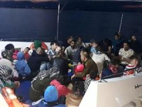 Aydın'da 43 kaçak göçmen yakalandı