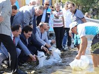 500 bin yavru sazan balığı İznik Gölü'ne bırakıldı