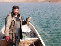 Yozgat’tan Avrupa ve Orta Doğu ülkelerine balık ihracatı