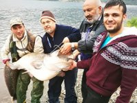 Çorum’da oltayla 97 kiloluk balık yakaladılar