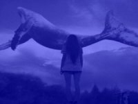 Mavi balinaların pabucu dama atıldı