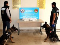 Mersin Limanı'nda uyuşturucu operasyonu
