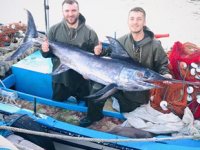 Çanakkale’de boylarından büyük kılıç balığı tuttular