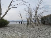 Akdeniz'in en büyük gölü kuruyor