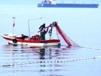 Bandırma Körfezi'ne ağ attı, 30 dakikada 50 kilo balık yakaladı