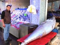 Bilecik’te 200 kiloluk dev orkinos kısa sürede satıldı