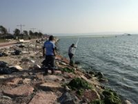 İzmir Körfezi’ndeki deniz marulları temizlendi