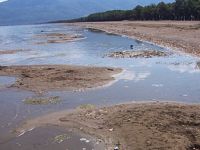 İznik Gölü'ndeki kirliliğin önlenemez yükselişi