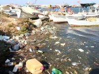 Didem’deki Taşburun, 'çöpburun' oldu