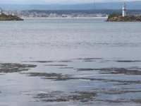 İğneada’da denizde kullanımı yasak olan misina ağları toplatıldı