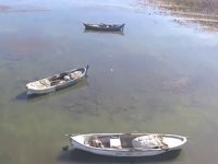 Manisa'daki Marmara Gölü yok olma tehdidi altında