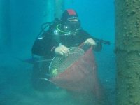 Bodrum'da deniz dibi temizliği yapıldı