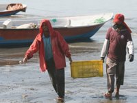 İranlı balıkçılar, ABD yaptırımlarından değil; Çinli balık firmalarından korkuyor
