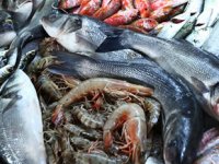 Balıklar için refah genelgesi yayınlandı