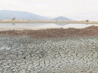 Elmalı’daki Avlan Gölü yok oluyor