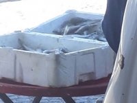 Konya’da yasa dışı balık avına ceza yağdı