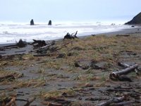 Plajların yüzde 60'ı ortadan kaybolabilir