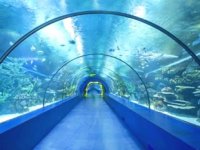 Türkiye'nin ilk Tünel Akvaryumu'nda sona gelindi