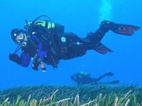 Türkiye ve Bulgaristan’ın deniz çayırları korunacak