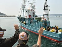 Japonya, ticari balina avcılığına yeniden başlıyor