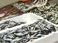 Kar yağışı nedeniyle balık fiyatları yükseldi