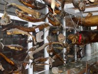 Türkiye Deniz Canlıları Müzesi, ziyaretçilerini bekliyor