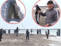 ‘Firari levrekler’, amatör balıkçıların yüzünü güldürdü