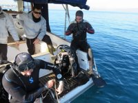 Burhaniye ve Gömeç, dalış turizmine açılacak