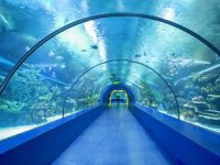 Tünel Akvaryum'da tünel açma çalışmaları tamamlandı