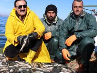 İnci kefaline dikkat çekmek için Van Gölü'ne açıldılar