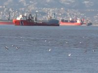 Denizi kirleten 460 gemiye 17,5 milyon lira ceza kesildi