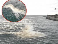 İstanbul Sarayburnu sahilinde denizde oluşan tabaka şaşırttı