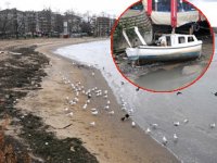 Yalova'da deniz 10 metre çekildi