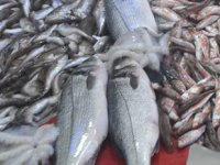 Türkiye, 2023'te 2 milyar dolarlık balık ihracat etmeyi hedefliyor