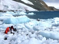 Antarktika kayaçları, Mars araştırmalarına kaynak olacak