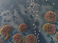 Gediz Deltası’nın 'UNESCO Dünya Doğa Mirası' olması için rapor hazırlandı