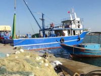 Mersin’de balıkçı barınakları yenilenecek