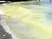 Marmaris'te deniz sarıya boyandı, gören belediyeyi aradı