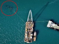 Hayalet gemi ‘Bereket’i sökmek için deniz üzerine vinç kuruldu