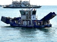 İBB’nin deniz yüzeyi temizleme ekiplerine yunuslar eşlik etti