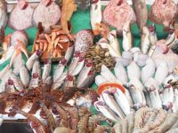 Türkiye'de su ürünleri işleyen firma sayısı belli oldu