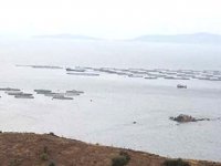 Karaburun'da Özel Çevre Koruma Alanı’nda balık çiftliğine izin verildi