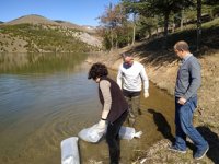Isparta’da göletlere 55 bin sazan balığı yavrusu bırakıldı