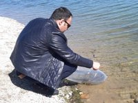 Eskişehir'de iç sulara 250 bin sazan balığı yavrusu bırakıldı
