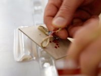 32 ilde oy verme işlemi sona erdi, sonuçlar ne zaman açıklanacak?