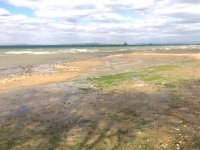 Yalova’da deniz suyu 20 metre çekildi