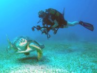 ‘Su Altı Cenneti Antalya’ filmi, Paf Tachov Film Festivali’nde birincilik ödülünü kazandı