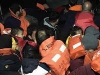 Didim'de 43 düzensiz göçmen yakalandı