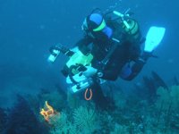 Burhaniye, ‘Dalış Turizmi Merkezi’ olacak